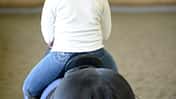 Cav Reiter dick Gewicht Studie
