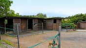 CAV Stall-Scout Stall-Runde EquiArt Corinna Hengefeld