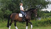 CAV Academy   Tuulie Tietze Dressur Schritt