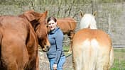 CAVALLO-Coach