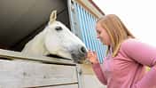 Reiten lernen - mein erstes Mal