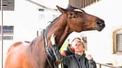 „Meine Stute ist beim Reiten auf der Flucht“