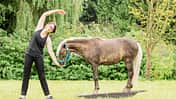 Fit mit Obst - Pilates