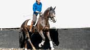 CAVALLO hautnah