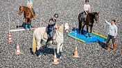 CAVALLO Working Equitation Working Equitation