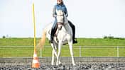 Working Equitation Working Equitation