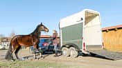 Cavallo Coach