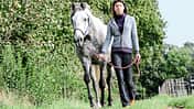 CAVALLO Spazierengehen Spazierengehen