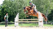 Springreiten mit Handicap