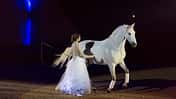 Showstar Alizée Froment mit ihrem Schimmel Sultan - Harmonie auf kleinsten Fingerzeig.