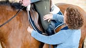 CAVALLO Seitwärtshilfen Seitwärtshilfen