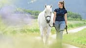 Zu Fuß unterwegs mit Pferd