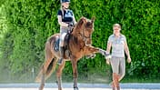Klassisch reiten mit Quarter Horse