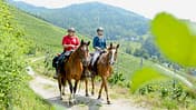 Wanderreiten durch den Schwarzwald