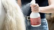 Trockenshampoos im Tests