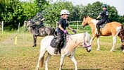 Reitschule Tannhorst