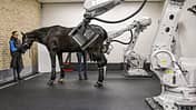 CAVALLO Roboter-CT Roboter-CT