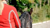 Ohrenspiel beim Reiten