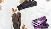Test Winterreithandschuhe