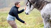 Konzept Horse Speak