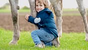 Diskussion Kinder und Pferde