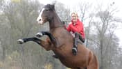 Hero Merkel auf einem steigenden Pferd