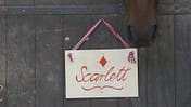 Boxenschild mit Name "Scarlett" 
