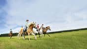 Gruppe von Reiterinnen beim Galopp über eine Wiese