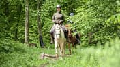 Zwei Reiterinnen auf einem Waldweg 