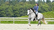 CAVALLO Motivieren leicht gemacht