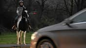 Dämmerung, Dunkelheit, Straßenverkehr, reiten Pferd und Reiterin in der Dämmerung im Straßenverkehr