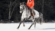 CAV Ausritt Schnee Aufmacher