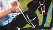 Hobbyhorse, Hobbyhorsing, Steckenpferd Kinder mit Hobbyhorses