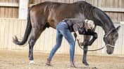 CAVALLO Serie mit Katja Schnabel - Hufe geben