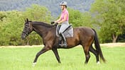 CAVALLO Schritt-Training