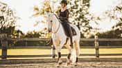 CAVALLO Halsringreiten