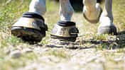 Test Hufschuhe