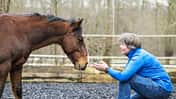 CAVALLO Neustart fürs Problempferd Criollo J.C.