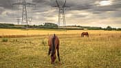 CAVALLO Strahlung, das unsichtbare Risiko? CAVALLO Strahlung, das unsichtbare Risiko?