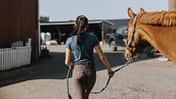 CAVALLO Funktionskleidung