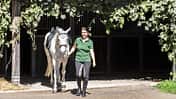 CAVALLO Der Traum vom eigenen Stall