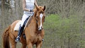 CAVALLO Diese Hilfe hat Gewicht: Bückeburg-Methode