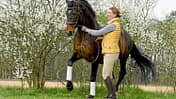 CAVALLO Jedes Pferd kann das Piaffieren lernen CAVALLO Jedes Pferd kann das Piaffieren lernen