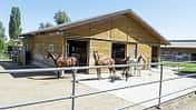 CAVALLO Ergebnisse der Stallbewertungen von BestTUPferd
