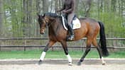 Harmonie im Offenstall