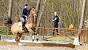 CAVALLO Pferde-Profi Katja Schnabel zeigt Übungen, wie schreckhafte Vierbeiner mit guter Führung gelassener werden und Herausforderungen meistern CAVALLO Pferde-Profi Katja Schnabel zeigt Übungen, wie schreckhafte Vierbeiner mit guter Führung gelassener werden und Herausforderungen meistern