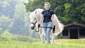 CAVALLO Versicherungs-Service für Pferdehalter, Frau führt Pferd über Wiese