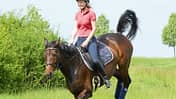 CAVALLO Online Fallkurs, Pferd mit Reiterin hüpft auf Wiese
