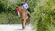 CAVALLO Schub-und-Tragkraft, Seitengänge wie das Schulterherein