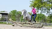 CAVALLO Ponypower, Pony springt mit Frau über Baumstamm